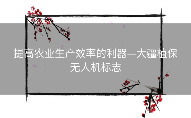 提高农业生产效率的利器—大疆植保无人机标志