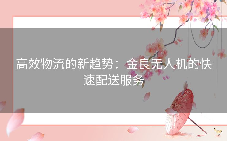 高效物流的新趋势：金良无人机的快速配送服务