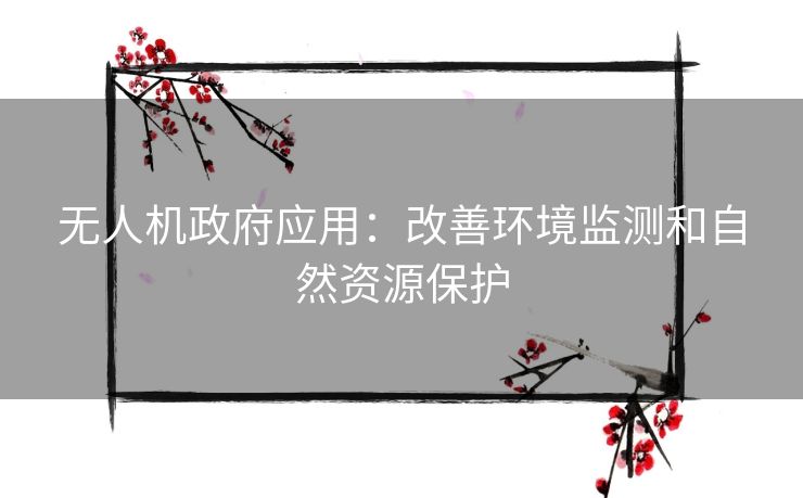 无人机政府应用：改善环境监测和自然资源保护