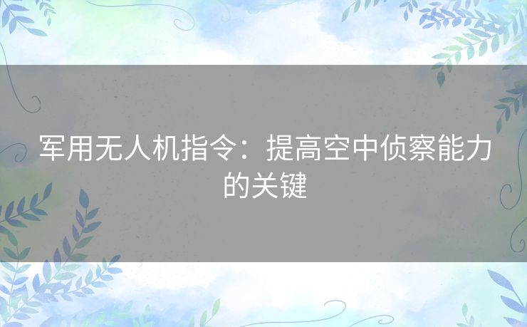军用无人机指令：提高空中侦察能力的关键