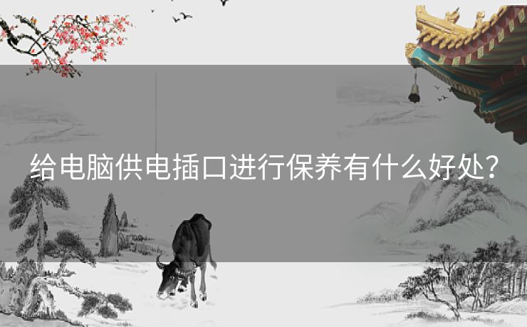 给电脑供电插口进行保养有什么好处？