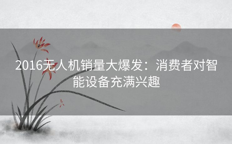 2016无人机销量大爆发：消费者对智能设备充满兴趣