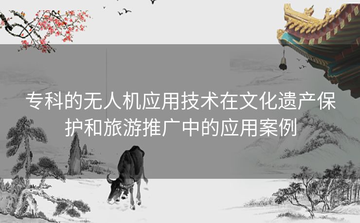 专科的无人机应用技术在文化遗产保护和旅游推广中的应用案例