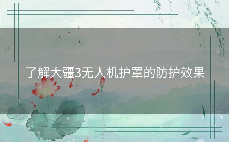 了解大疆3无人机护罩的防护效果