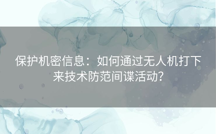 保护机密信息：如何通过无人机打下来技术防范间谍活动？