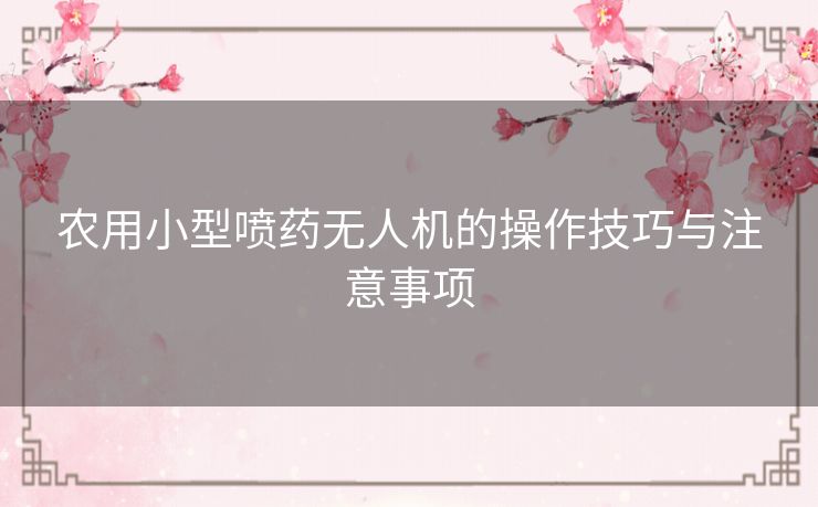 农用小型喷药无人机的操作技巧与注意事项