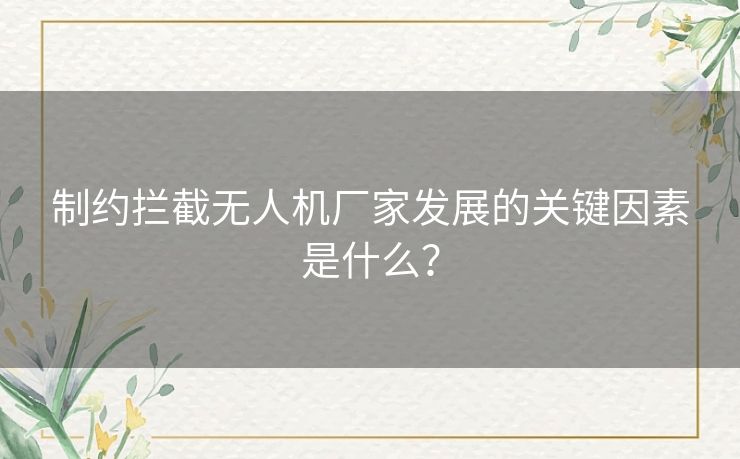 制约拦截无人机厂家发展的关键因素是什么？