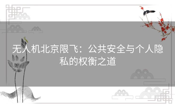 无人机北京限飞：公共安全与个人隐私的权衡之道