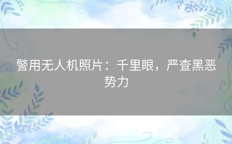 警用无人机照片：千里眼，严查黑恶势力