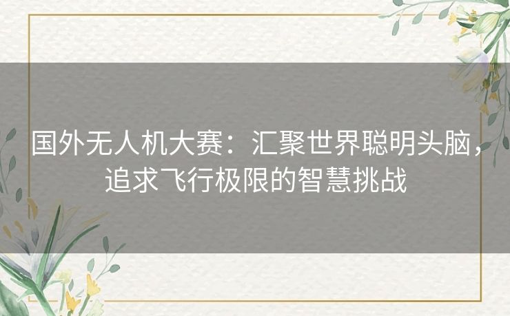 国外无人机大赛：汇聚世界聪明头脑，追求飞行极限的智慧挑战