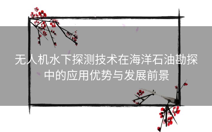无人机水下探测技术在海洋石油勘探中的应用优势与发展前景