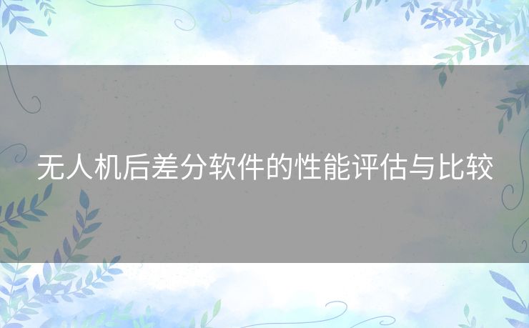 无人机后差分软件的性能评估与比较
