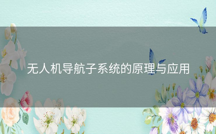 无人机导航子系统的原理与应用