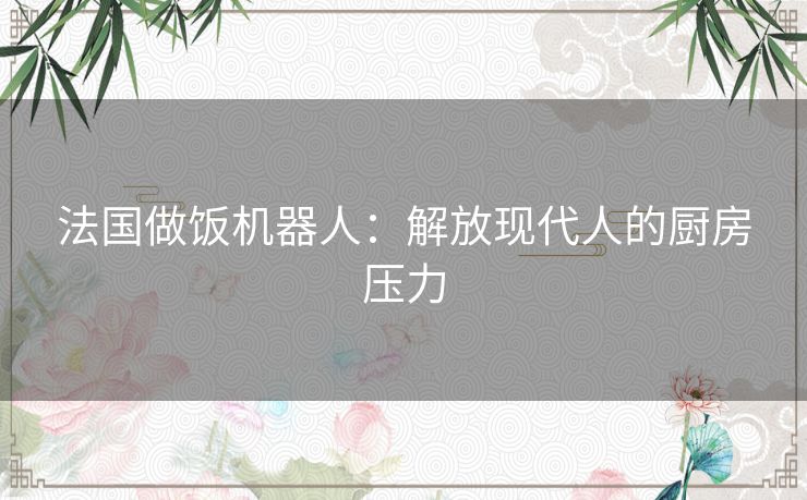 法国做饭机器人：解放现代人的厨房压力