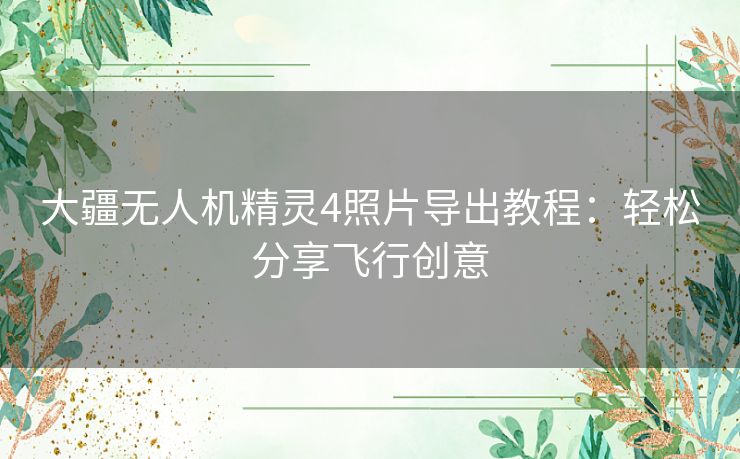 大疆无人机精灵4照片导出教程：轻松分享飞行创意