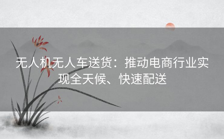 无人机无人车送货：推动电商行业实现全天候、快速配送