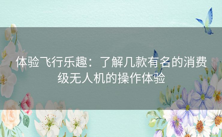 体验飞行乐趣：了解几款有名的消费级无人机的操作体验