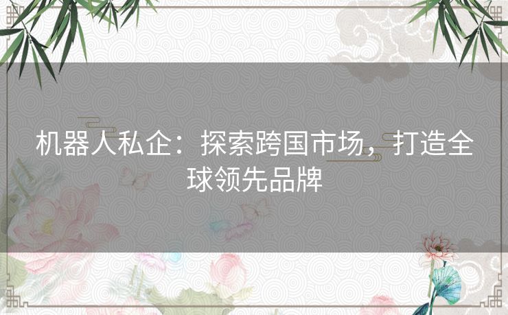 机器人私企：探索跨国市场，打造全球领先品牌
