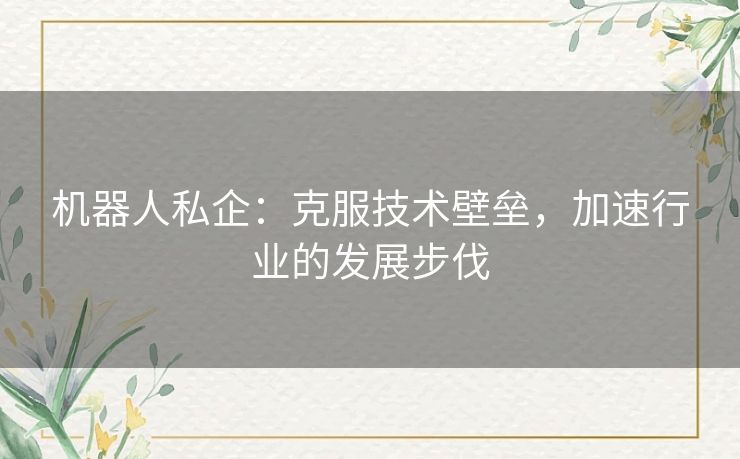 机器人私企：克服技术壁垒，加速行业的发展步伐