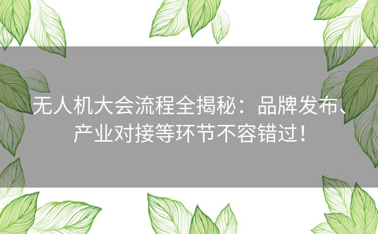 无人机大会流程全揭秘：品牌发布、产业对接等环节不容错过！
