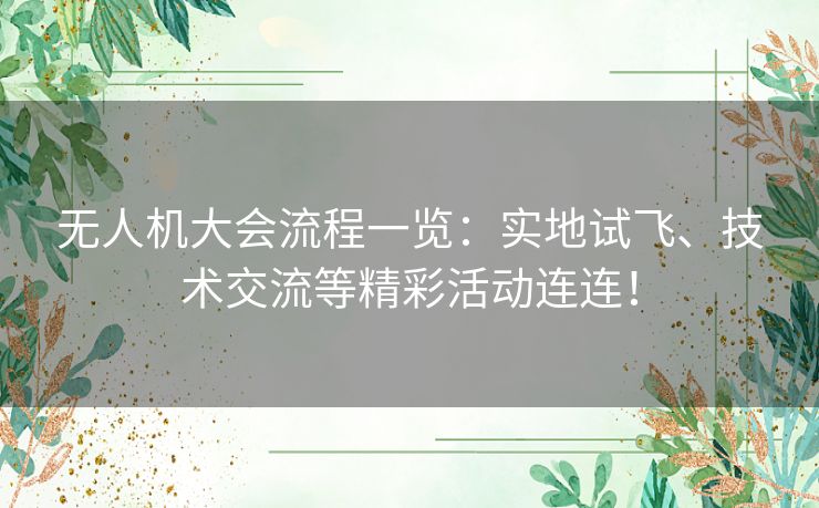 无人机大会流程一览：实地试飞、技术交流等精彩活动连连！