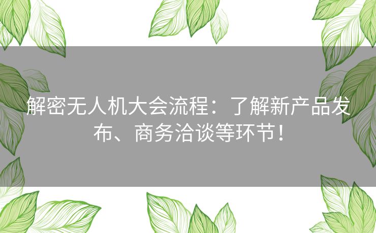 解密无人机大会流程：了解新产品发布、商务洽谈等环节！