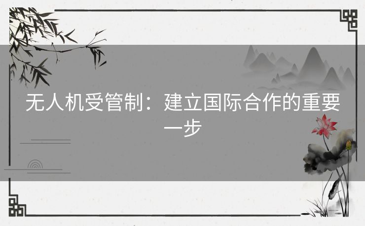 无人机受管制：建立国际合作的重要一步