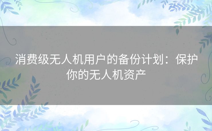 消费级无人机用户的备份计划：保护你的无人机资产