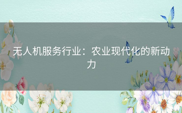 无人机服务行业：农业现代化的新动力