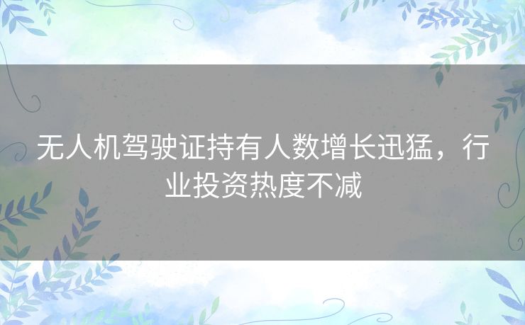 无人机驾驶证持有人数增长迅猛，行业投资热度不减