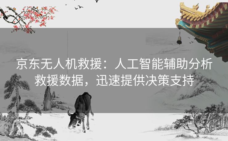 京东无人机救援：人工智能辅助分析救援数据，迅速提供决策支持