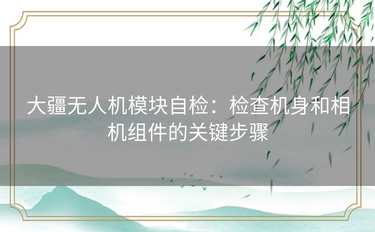 大疆无人机模块自检：检查机身和相机组件的关键步骤