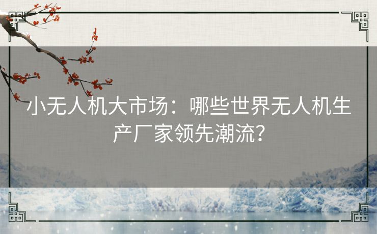 小无人机大市场：哪些世界无人机生产厂家领先潮流？