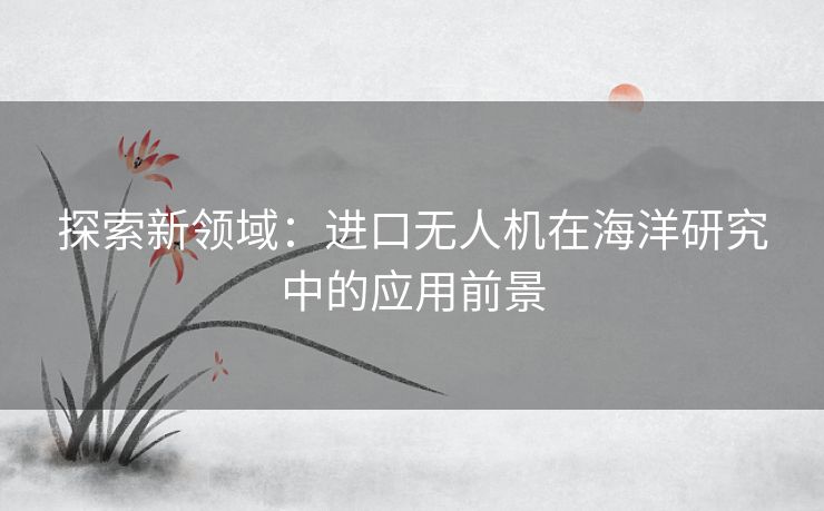 探索新领域：进口无人机在海洋研究中的应用前景