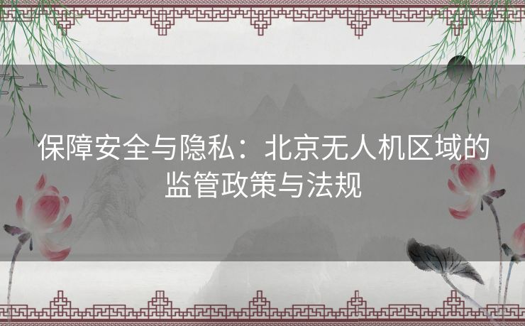 保障安全与隐私：北京无人机区域的监管政策与法规
