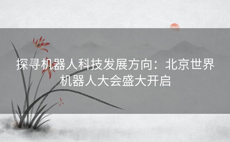 探寻机器人科技发展方向：北京世界机器人大会盛大开启