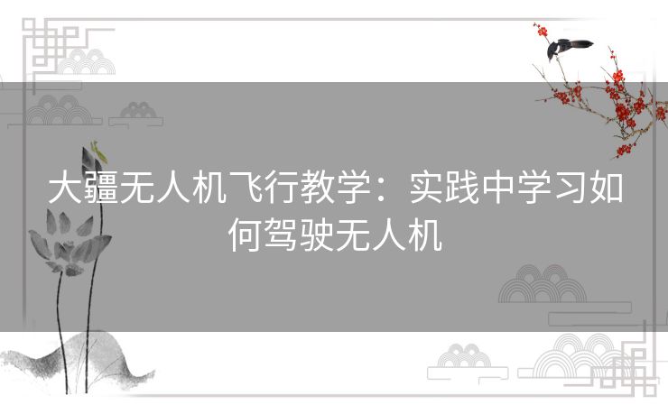 大疆无人机飞行教学：实践中学习如何驾驶无人机