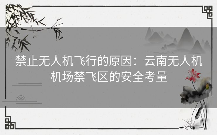 禁止无人机飞行的原因：云南无人机机场禁飞区的安全考量