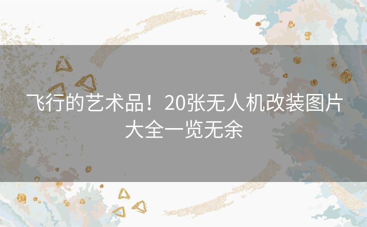 飞行的艺术品！20张无人机改装图片大全一览无余