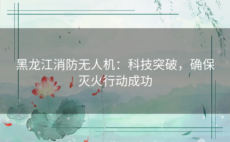 黑龙江消防无人机：科技突破，确保灭火行动成功