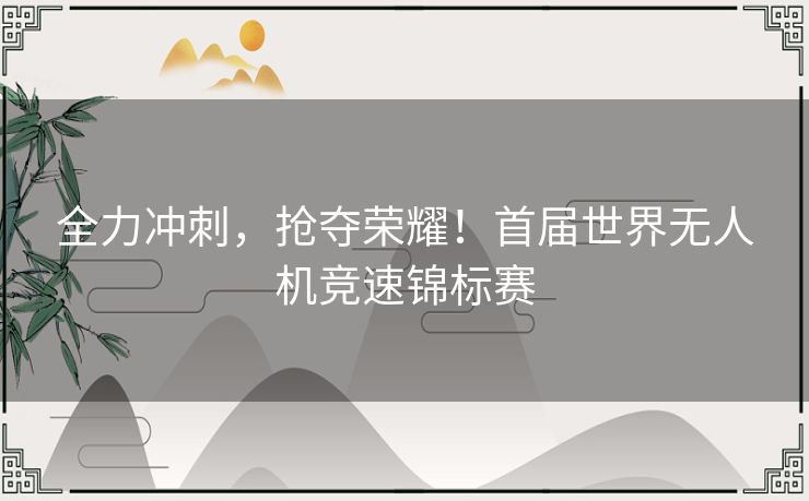 全力冲刺，抢夺荣耀！首届世界无人机竞速锦标赛
