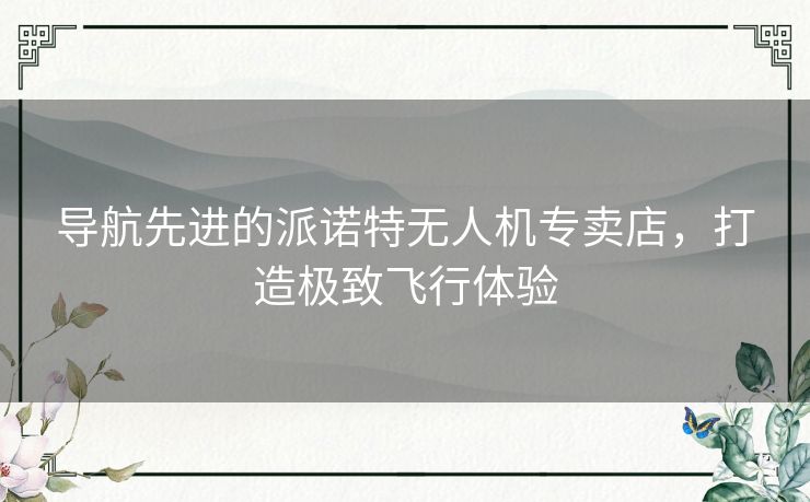 导航先进的派诺特无人机专卖店，打造极致飞行体验
