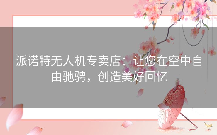 派诺特无人机专卖店：让您在空中自由驰骋，创造美好回忆