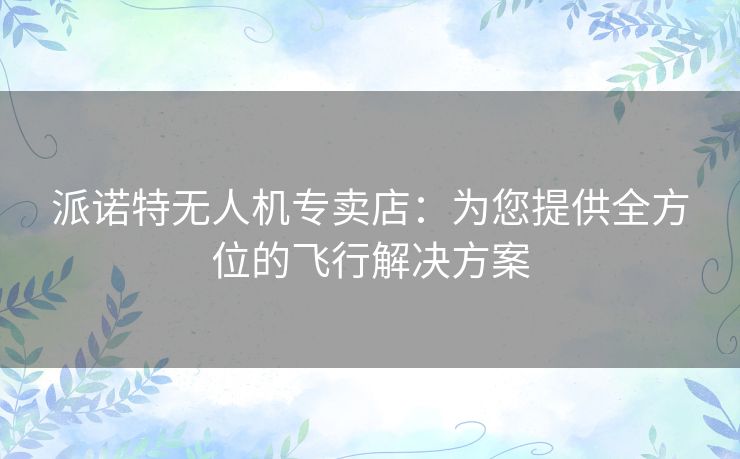 派诺特无人机专卖店：为您提供全方位的飞行解决方案