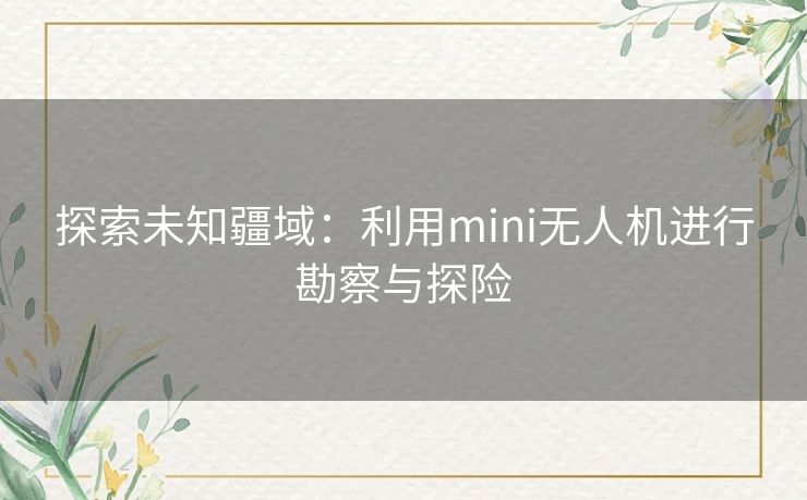 探索未知疆域：利用mini无人机进行勘察与探险