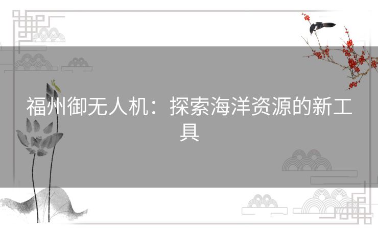 福州御无人机：探索海洋资源的新工具