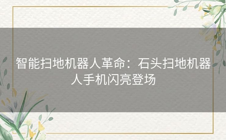 智能扫地机器人革命：石头扫地机器人手机闪亮登场