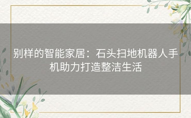 别样的智能家居：石头扫地机器人手机助力打造整洁生活