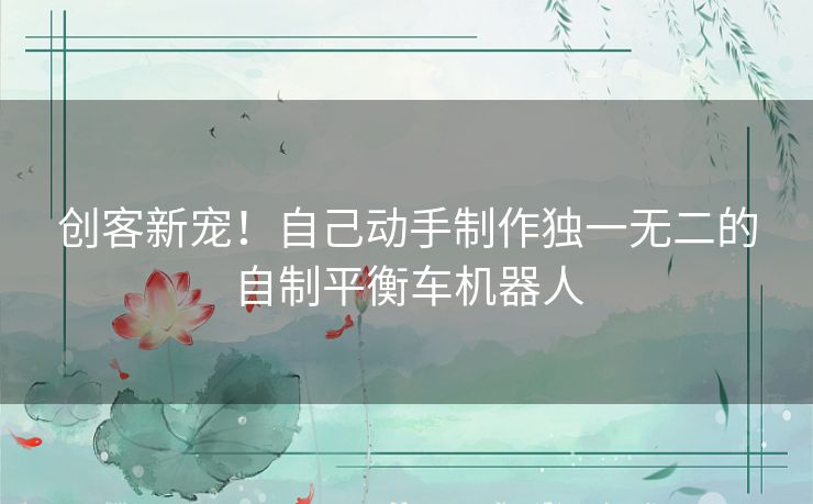 创客新宠！自己动手制作独一无二的自制平衡车机器人