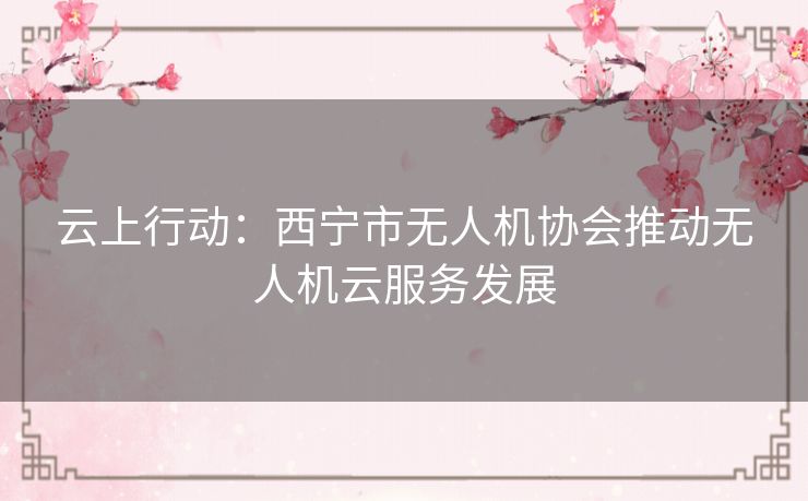云上行动：西宁市无人机协会推动无人机云服务发展